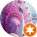 Nicole profile picture